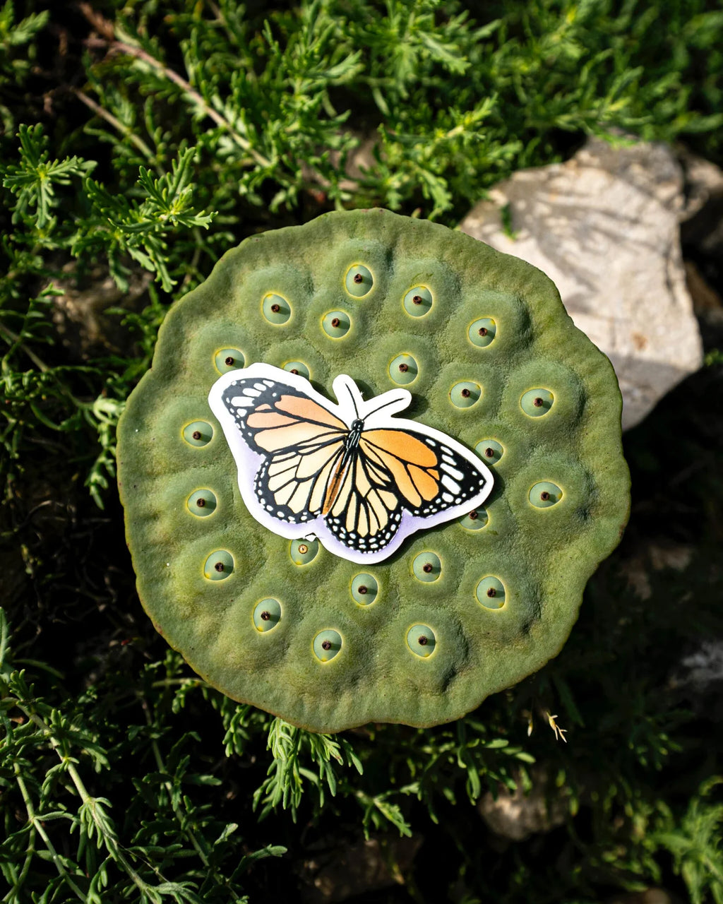 Sticker Papillon Monarque