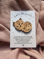 Câlin de Poche Chat