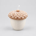 Bougie Nuts petit modèle senteur automne gourmand