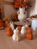 Bougie courge penchée mymilkycandle