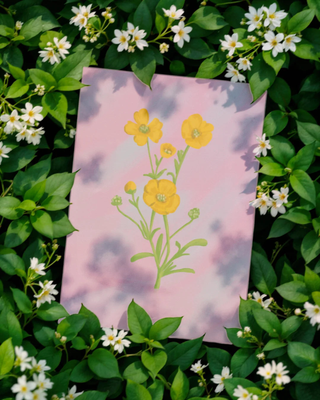 Carte Postale Bouton d'Or – Dame Curiosity
