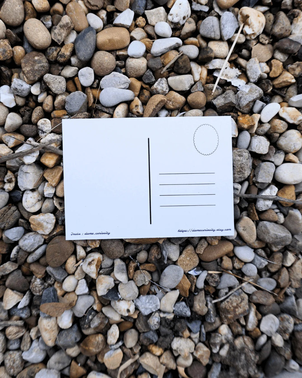 Carte Postale Bouton d'Or – Dame Curiosity