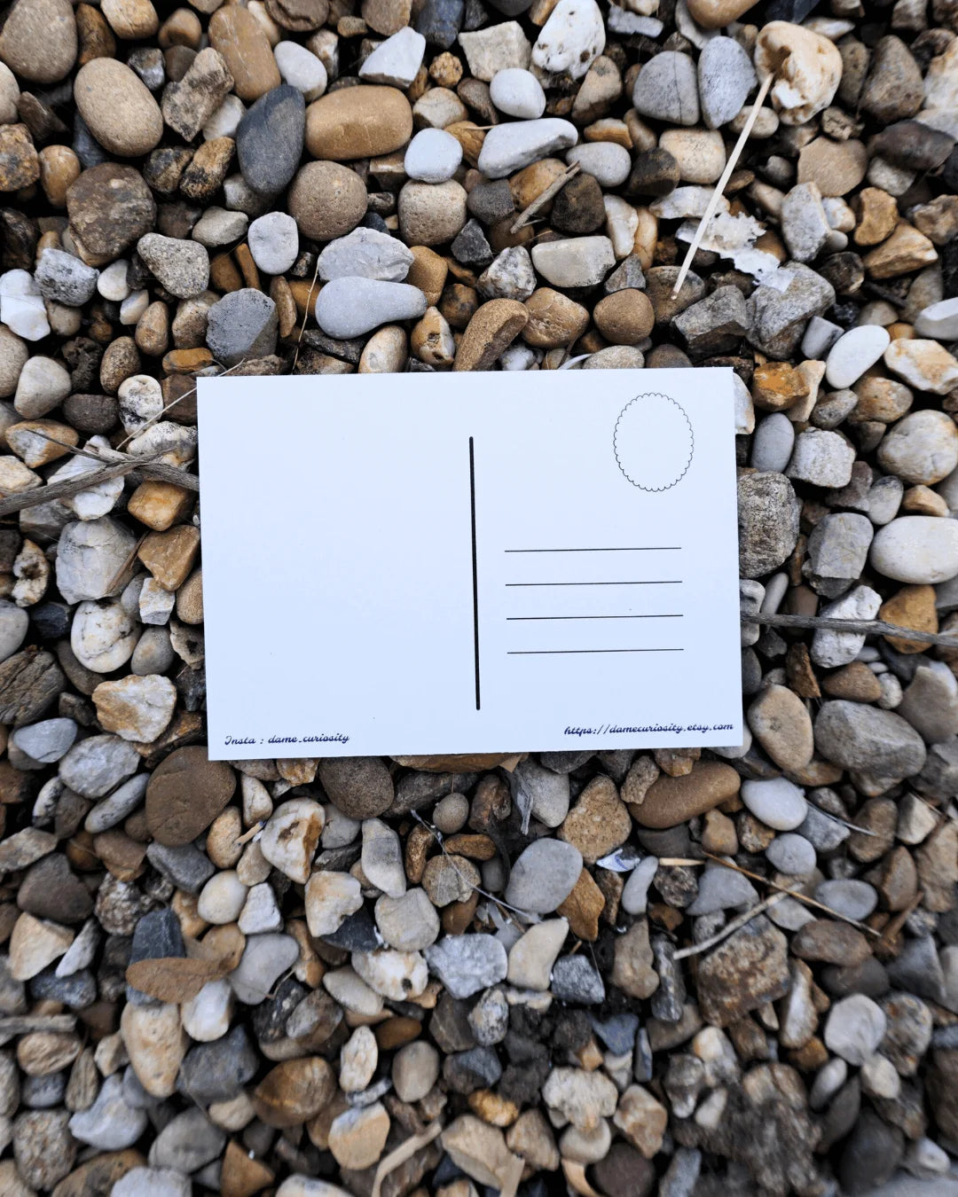 Carte Postale Bouton d'Or – Dame Curiosity