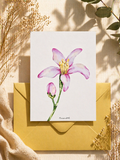 Carte postale fleur de citronnier - Funounarts