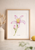 Affiche aquarelle fleur de citronnier - Funounarts