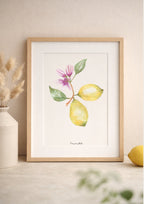 Affiche aquarelle citronnier botanique - Funounarts