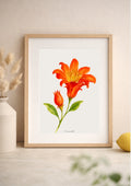 Affiche aquarelle fleur de grenadier botanique - Funounarts