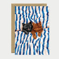 Sleeping Cats