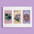 Print Little Seeds A4 - Spark Room