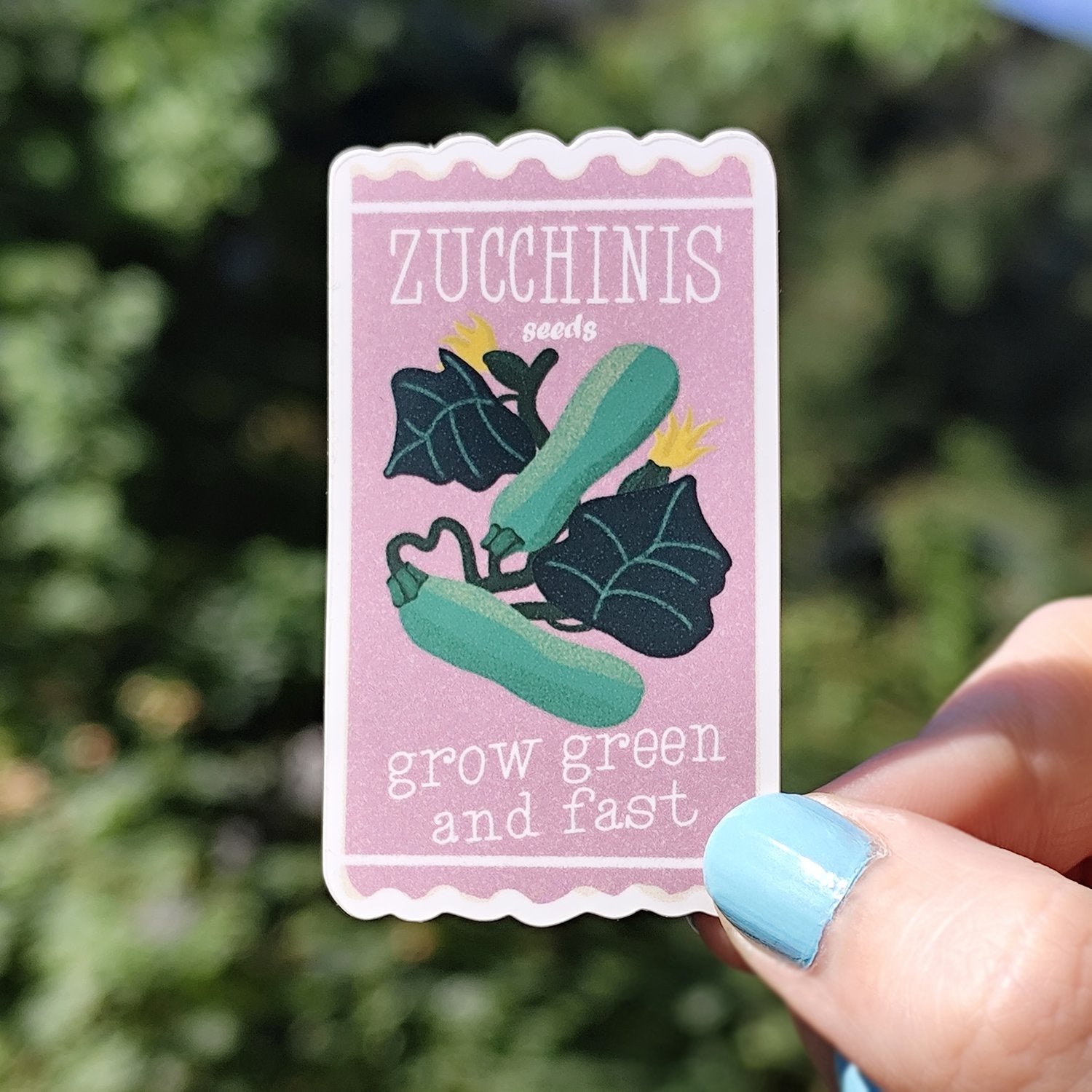 Sticker Zucchini Seeds - Spark Room