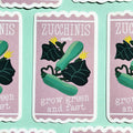 Sticker Zucchini Seeds - Spark Room