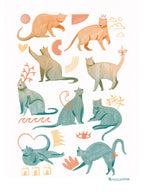 Poster Cool cat A3