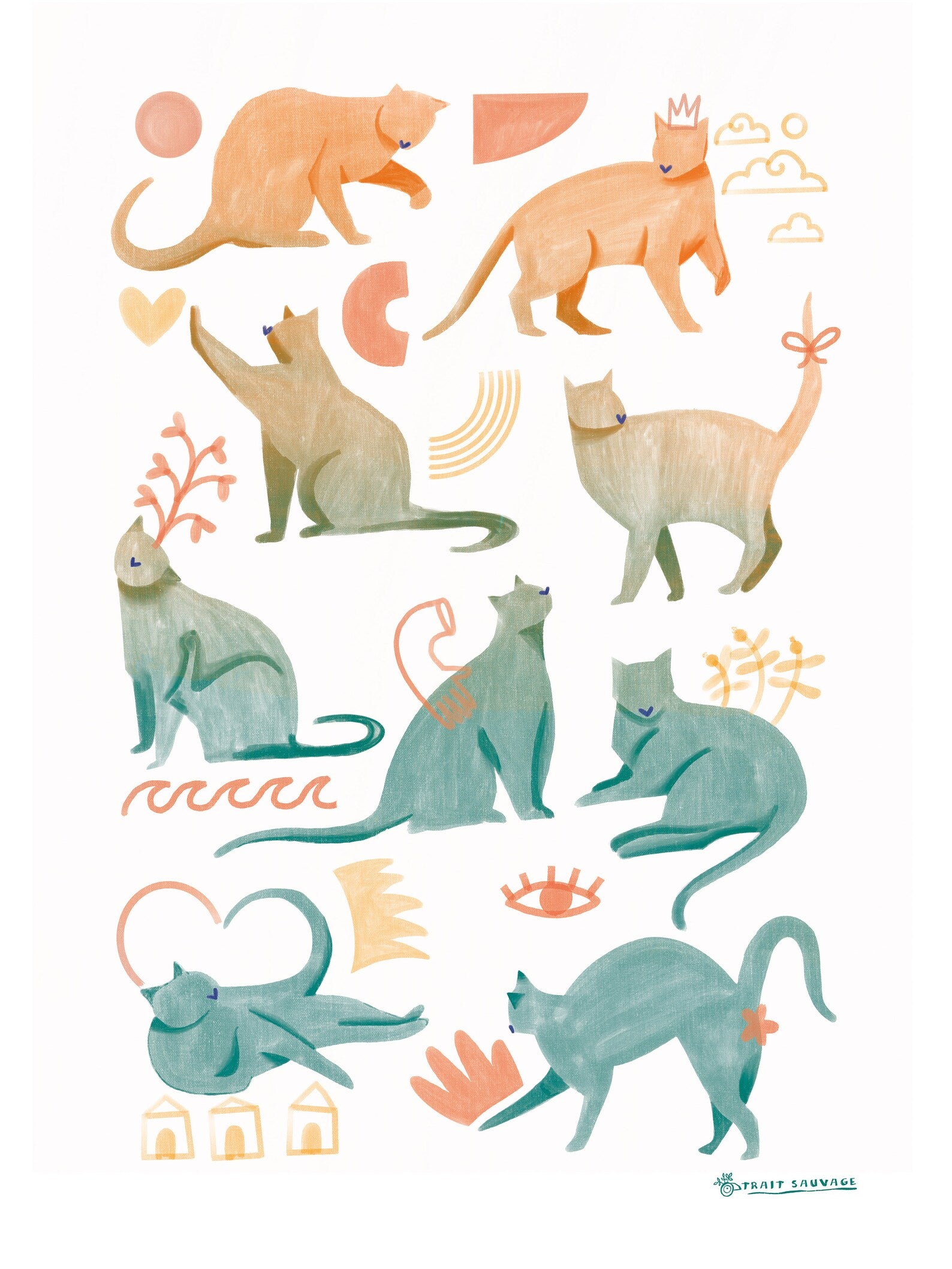 Poster Cool cat A3