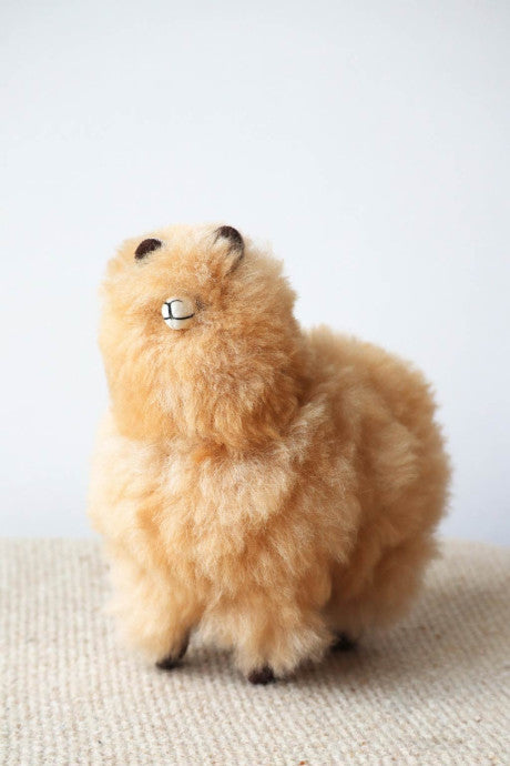 Peluche Alpaga Carlos 23 cm – Bellepaga