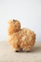 Peluche Alpaga Carlos 23 cm – Bellepaga