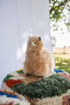 Peluche Alpaga Carlos 23 cm – Bellepaga