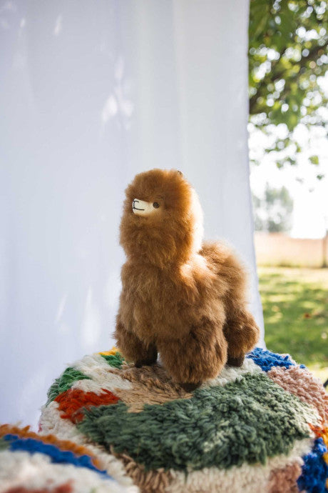 Peluche alpaga José BellePaga avec son certificat de naissance