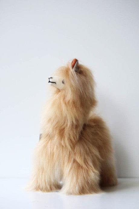 Peluche Alpaga Juanita 23 cm – Bellepaga