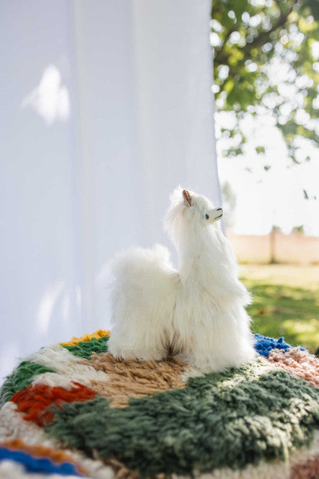 Peluche Alpaga Raùl 23 cm – Bellepaga