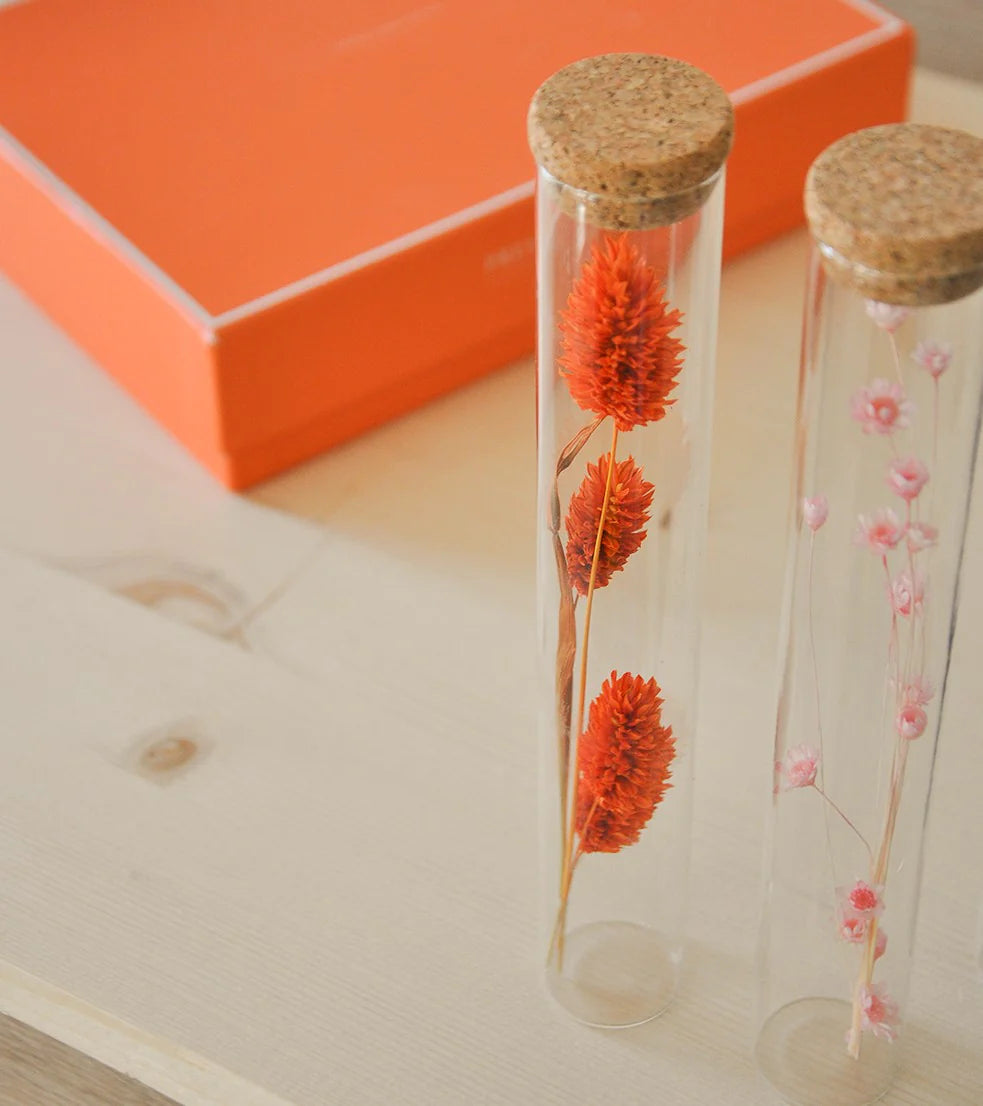 Tube Fleurs Séchées – Polhine