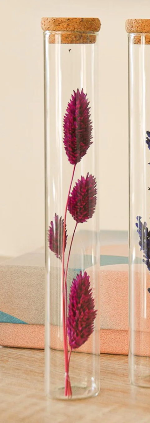 Tube Fleurs Séchées – Polhine